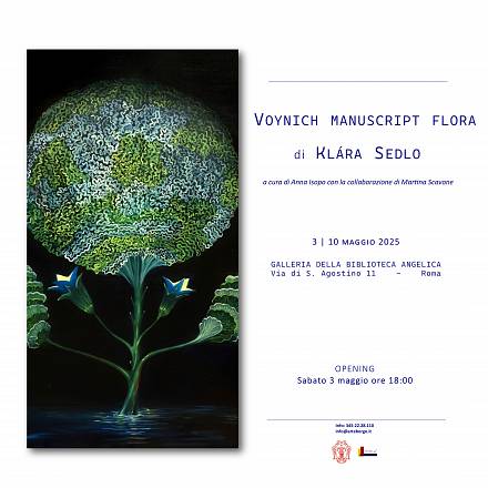 Voynich manuscript flora, mostra personale di klára sedlo